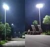 Illuminazione stradale pubblica a LED solare con alta qualità Rygh-Fx-100W