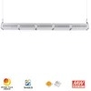 Rygh 250W Lineare LED High Bay Light Lampade di illuminazione per garage