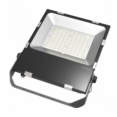 Lampade al suolo all'aperto impermeabili dell'inondazione di 50w 270v 100-110 Lm/w